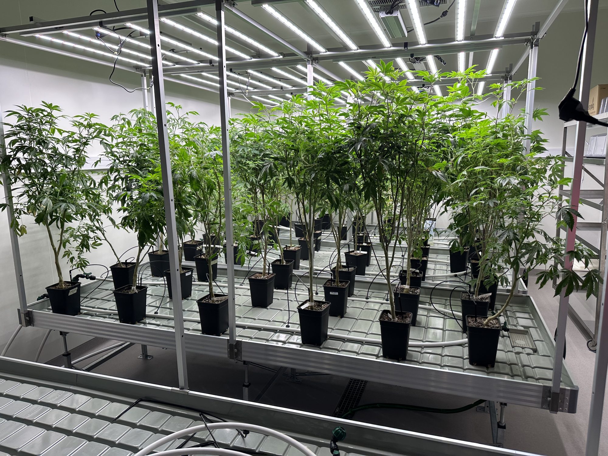 Indoor Anbau mit LED Beleuchtung